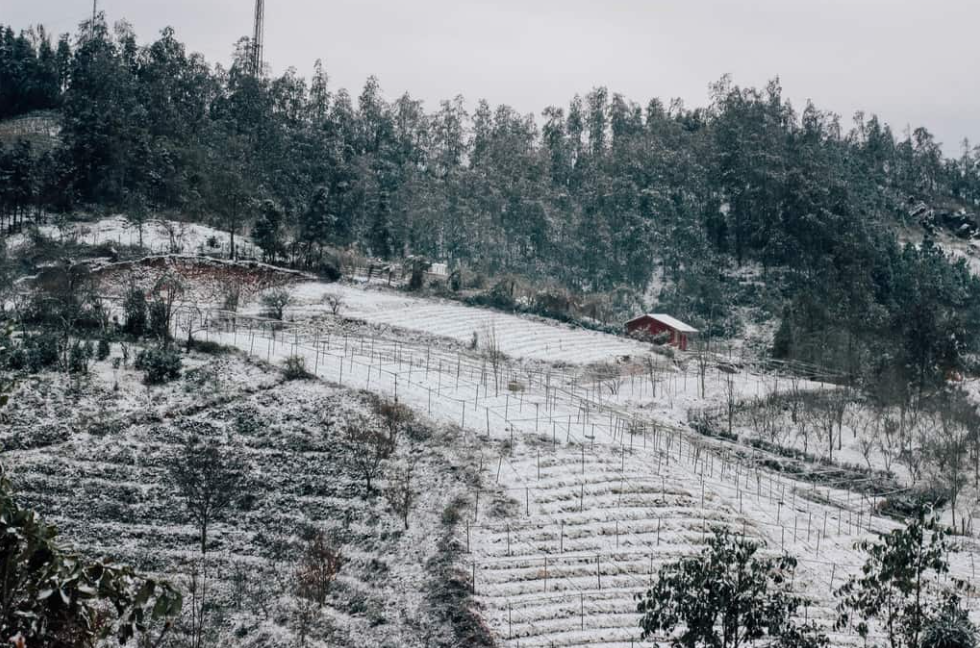 Upcoming cold could spell Vietnam Northwest snow in the next few days 0323 capture1